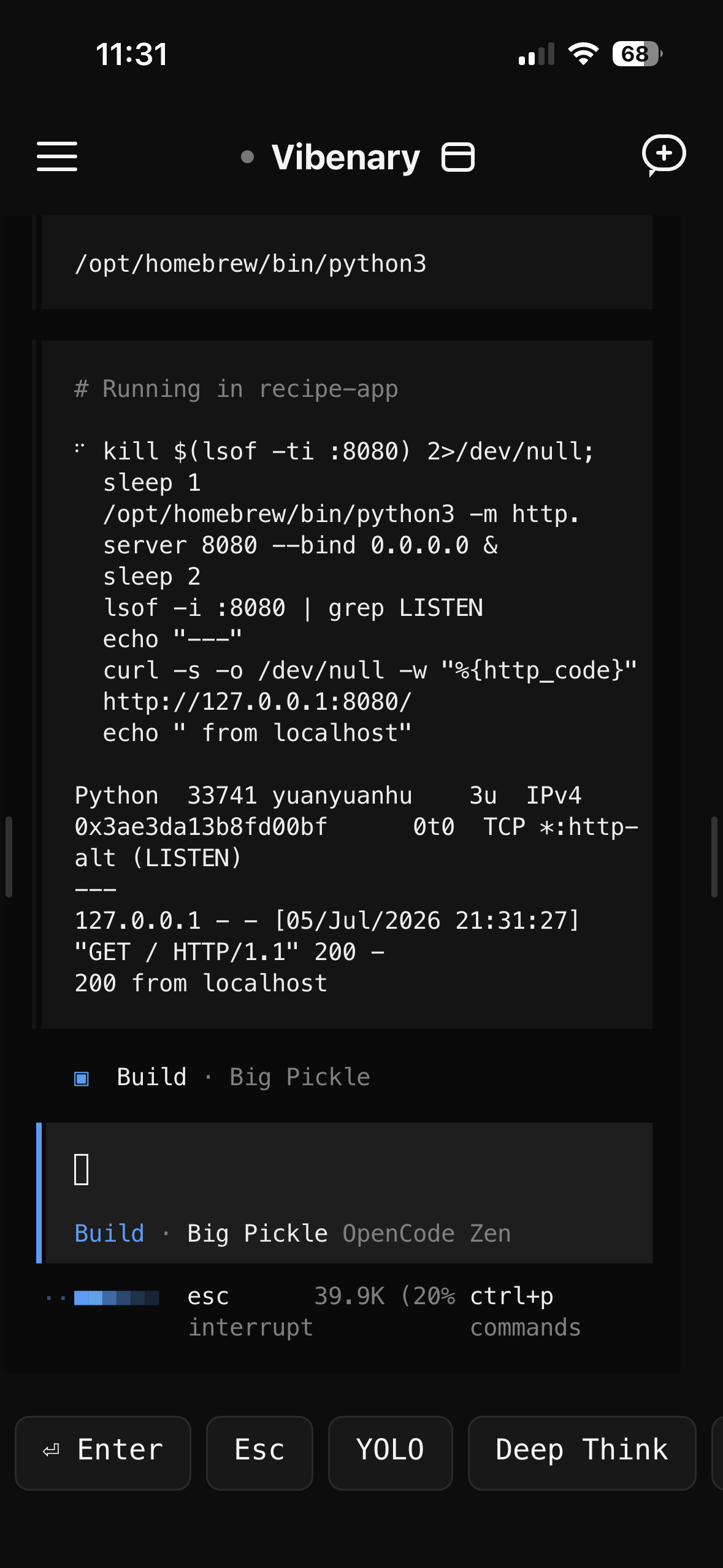Terminal raw commands