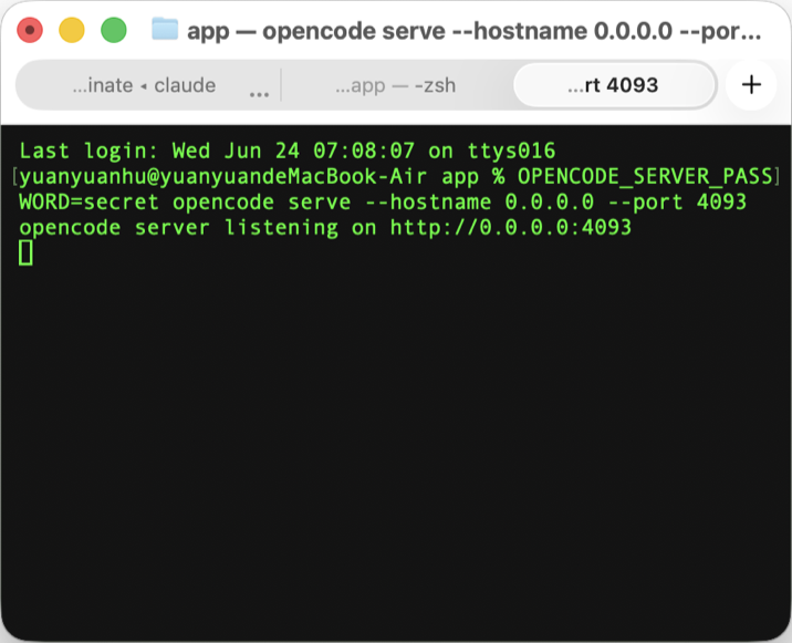 start opencode server